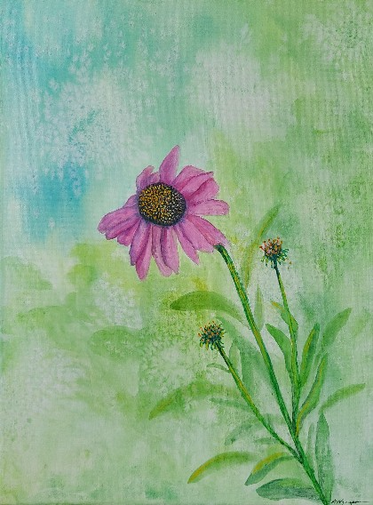 Artistically rendered watercolor purple coneflower on canvas of "Bloom where you are planted" by artist Lynda Krupa, The Artful Lynk